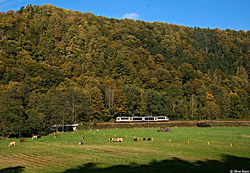 http://tb11er.de/hp/sbs-Dateien/image340.jpg